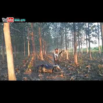 STORY WA GUSTI KULO LELLAH
