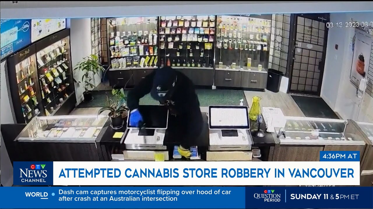 WATCH: Burglar gives up during failed robbery of cannabis store in B.C.