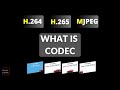 What is codec h264 h265 mjpeg explained