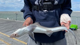BEST DELAWARE INSHORE FISHING (May-July)