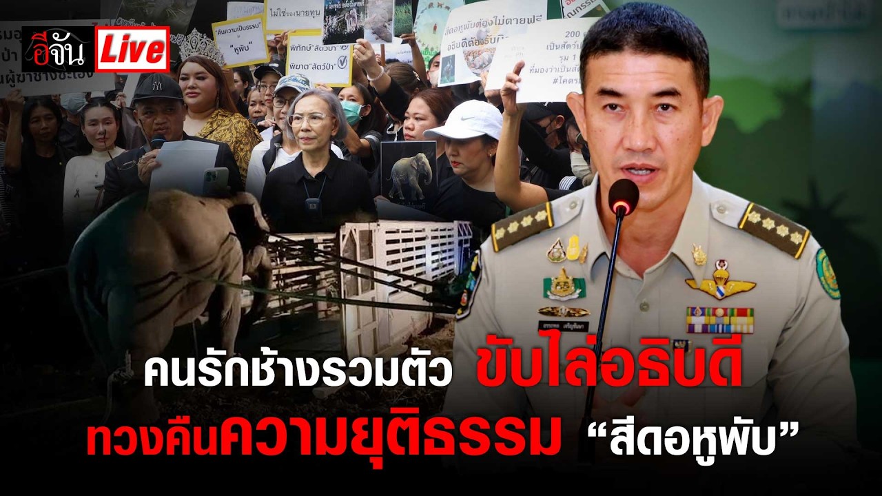 Live ทวงคืนความยุติธรรม สีดอหูพับ คนรักช้าง รวมตัวกรมอุทยานฯ ขับไล่อธิบดี | อีจัน EJAN