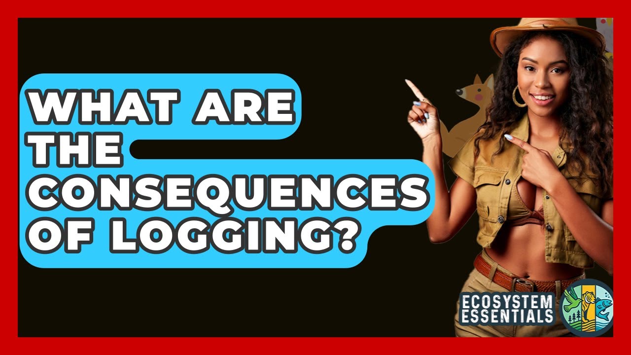 What Are The Consequences Of Logging? - Ecosystem Essentials
