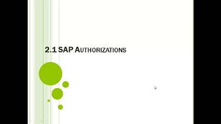 4 SAP Authorizations