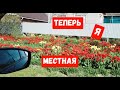 #56переезднаюг#купилидом ПОЛУЧИЛА ПАСПОРТ/КУПИЛИПРОДУКТЫ/ЧТО ДЕЛАЛИ