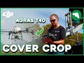 Spreading 50 acres of cover crop  dji agras t40  maverick agriculture