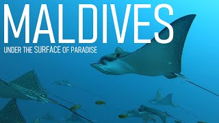 MALDIVES - Under the Surface of Paradise