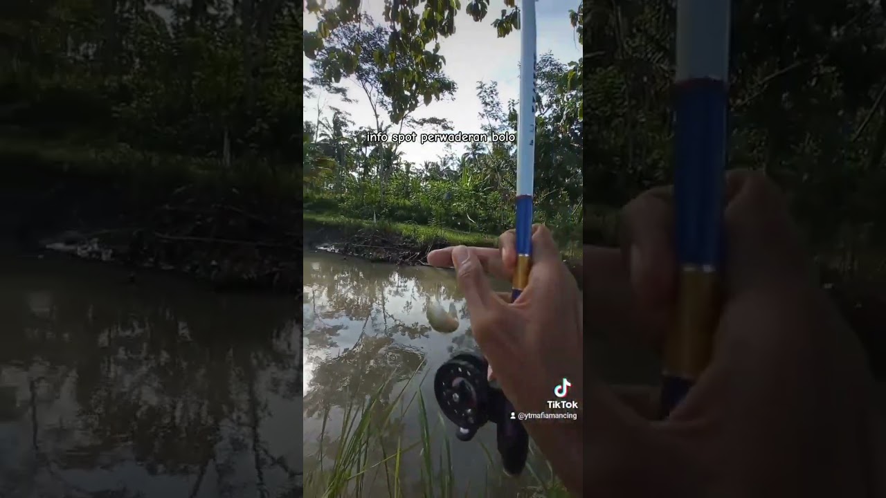 Spot perwaderan semakin langka bolo🤣 