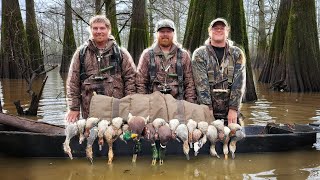 EPIC Rainout in the CYPRESS (Limits) - Arkansas Duck Hunting