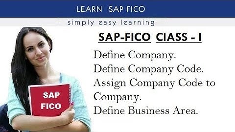 SAP FICO CLASS-1 Define Company, Company Code, Business Area. etc