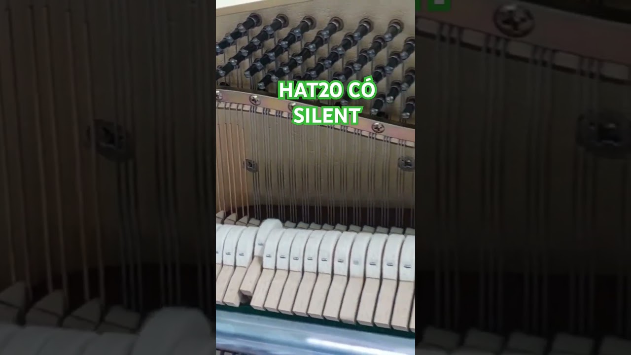 jackpot city casino erfahrung Kawai mà có Silent HAT20 Zin 100%. ĐB giá chỉ bằng 1/2 bên ngoài. 0932.79.9986