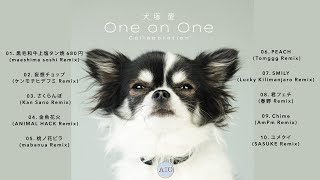 大塚 愛  ai otsuka / リメイクAL『犬塚 愛 One on One Collaboration』クロスフェード