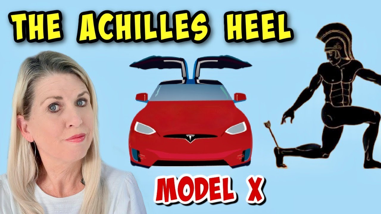 What is The Achilles Heel of Lucky Our 2016 Tesla Model X???