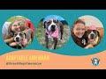 Ann Marie Wiggle Butt | The Ultimate Couch Cuddling Connoisseur 