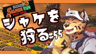 【サーモンランNW/＃55】生まれた小さな金イクラ【樫城槌/Vtuber】