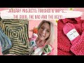 January Stash Challenge: @LionBrandYarn @WeCrochetOfficial @Yarnspirations @drewbieszoo @ShezgotYarn