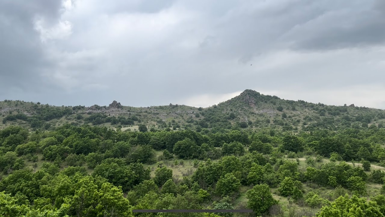 Nature Video & Sounds 4K - Birds - Crickets - Bees - Rain - Thunder - #asmr