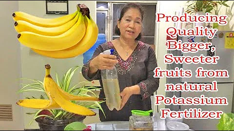 Banana Peel Fertilizer (In very easy Step)
