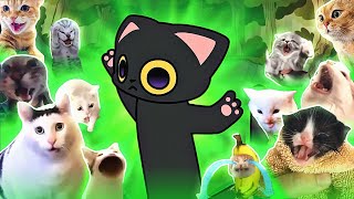 Toothless Cat Dancing but Cats Sing It