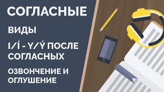 Чешские согласные | I/Í - Y/Ý после согласных | Тренируем произношение с носителем языка