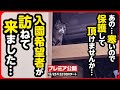 【子猫 保護】2度あることは3度ある...「保護してもらえませんか?」自ら子猫が訪ねてきました