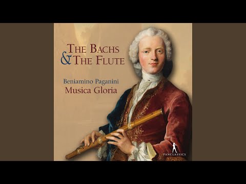 Flute Sonata in E Minor: I. Allegro ma non tanto