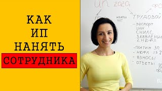 Как ИП оформить сотрудника | Простым языком