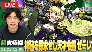 しろの配信のサムネイル画像