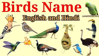 20 birds name in hindi and english l 20 पक्षियों के नाम हिंदी और अंग्रेजी में l birds name