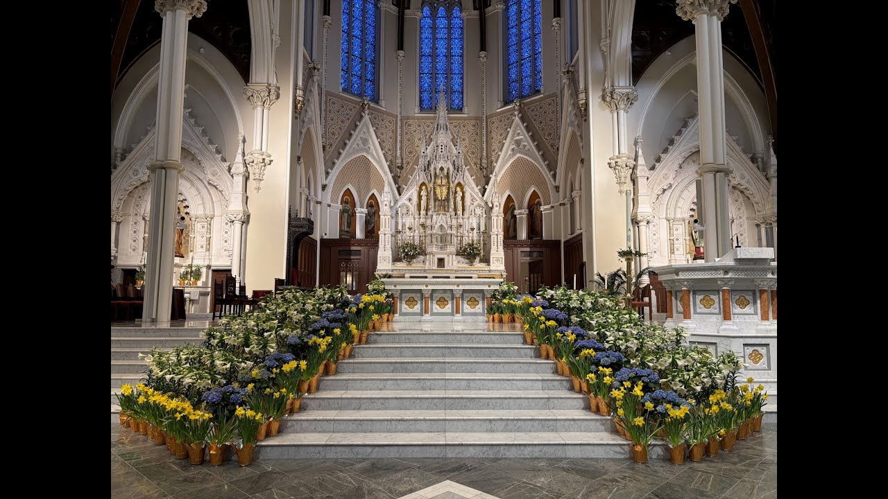 February 22, 2026: Rite of Election