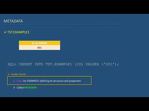 30 Oracle SQL Developer Tutorial For Beginners   29   DBA Info   MetaData