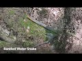 Congaree National Park 5.10.26 with Carolina Outdoor Adventures