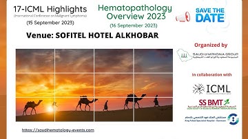 17-ICML Highlights 2023