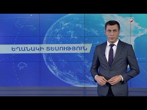 Video: Բենդետա Մորի Ուբալդինիի լարային կենդանիները