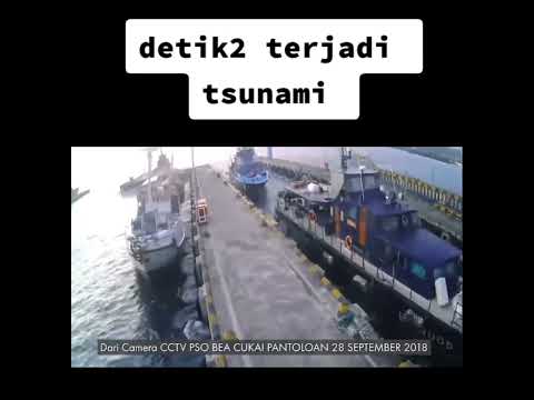 Detik detik tsunami dahsyat