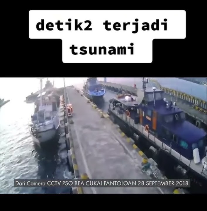 Detik detik tsunami dahsyat