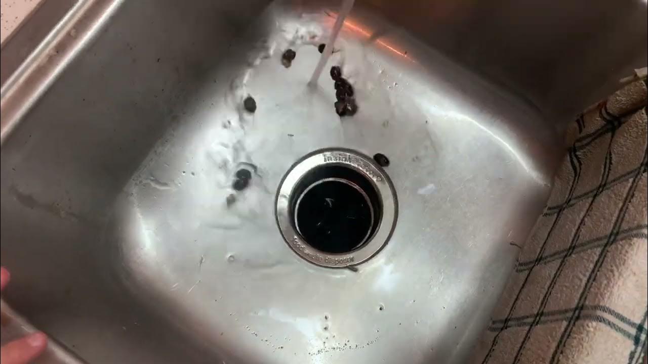 Using the Insinkerator YouTube