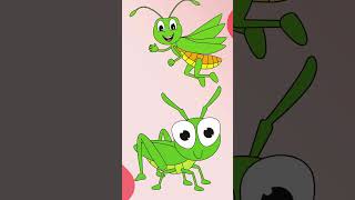 Insect Names For Kids Grhopper Bugs Name Insectsbugs Name In English Learning