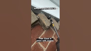 Secrets of bat control #6 Finding and fixing the hidden places where bats get in. #batcontrol #bats