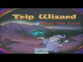 Trip Wizard (Audio)