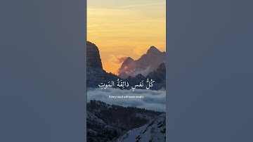 سورة العنكبوت الاية 56 #قرآن #quran #القرآن_الكريم #قرآن #القرآن_الكريم #سورة_العنكبوت
