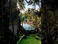 Beautiful Bali: Waking up to the perfect view #shorts #travel