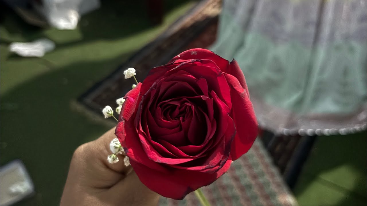 ||Didi ko haldi mehendi|| #dailyvlog #wedding #busylifevlog 