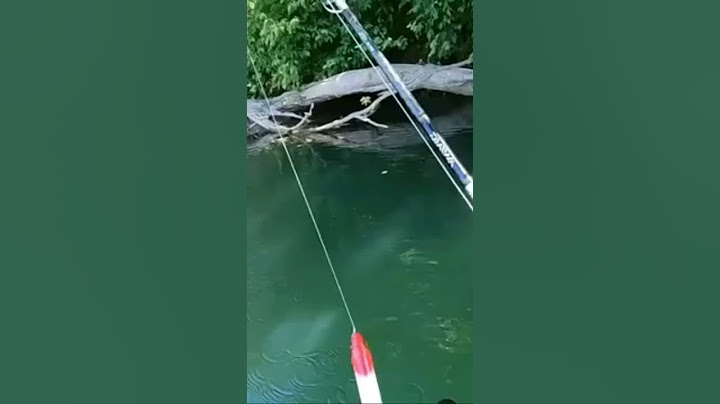 MASSIVE CATFISH EATS BIG TOPWATER BAIT!