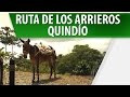 Quindío / Ruta de los Arrieros / Turismo en Colombia / Cosmovision