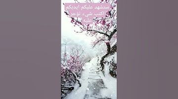 فواتح سوره الرعد بصوت القارئ الشيخ فارس عباد ♥️❤️❤️ #القران