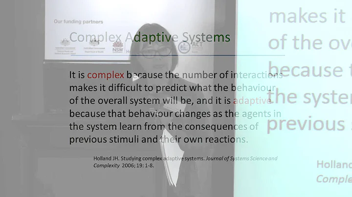 A program perspective on systems thinking: Profess...