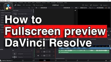 How to fullscreen preview in davinci resolve