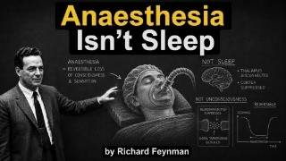 What Anesthesia Actually Does While You're Under