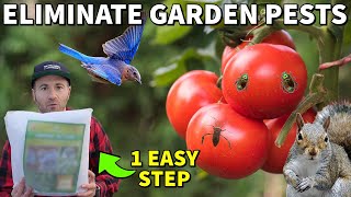 This One Easy Step Prevents 95% Of Pests In Your Garden All Year!