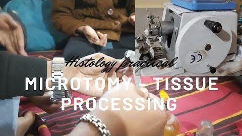 Microtomy|| Microtechnique|| Tissue processing|| Zoology|| physiology|| Histology